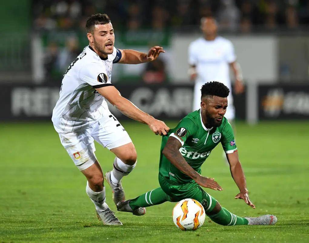 他们共同的 他们共同的