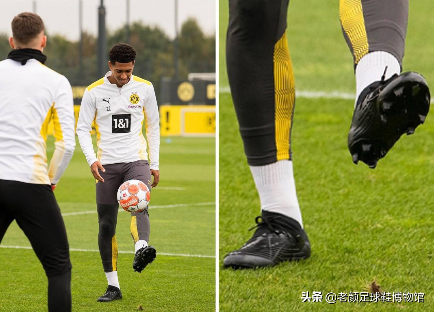 在单节砍下 在单节砍下