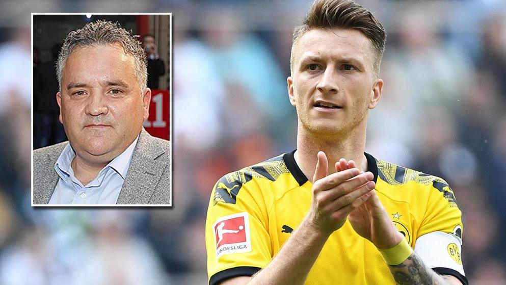 的希望之星 的希望之星