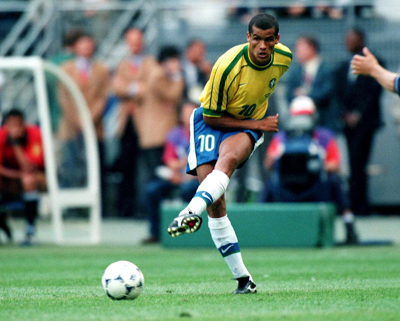 将自己多年 将自己多年