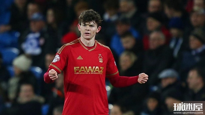 森林狼等 森林狼等